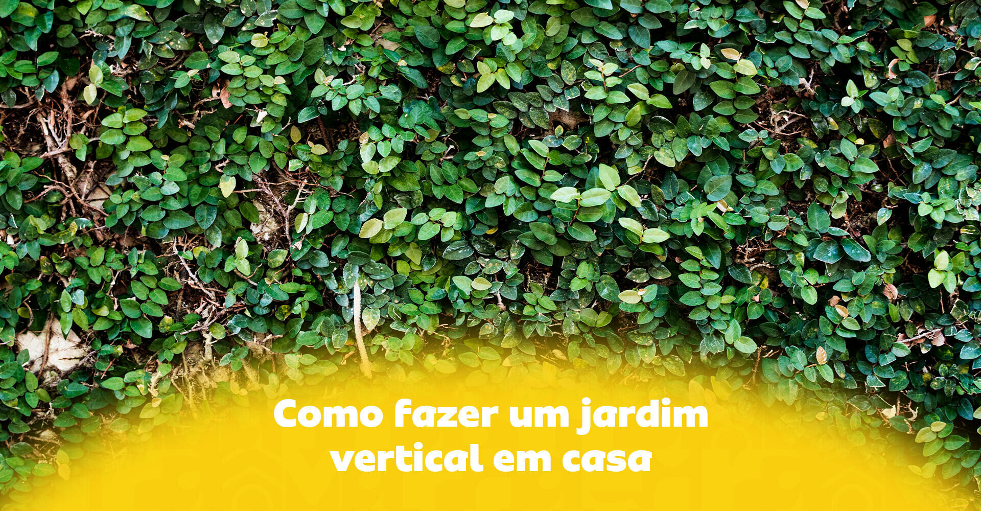 Imagem ilustrativa para o artigo Como fazer um jardim vertical em casa: aprenda a criar um espaço verde mesmo em ambientes pequenos da Maria Brasileira